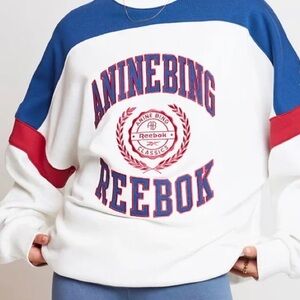 ANINE BING ✨LIMITED EDITION✨ sweater x Reebok